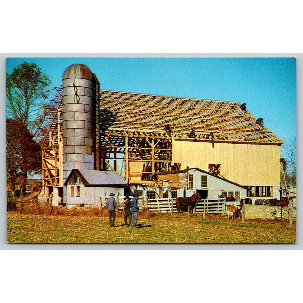 Amish Barn Raising Vtg Postcard Lancaster County PA Marshall Dussinger SM-237